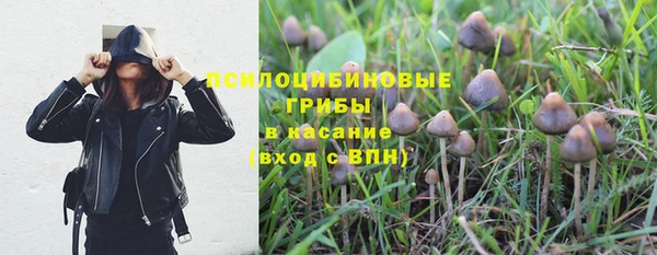 a pvp Пестово