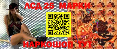 эйфоретик Можга