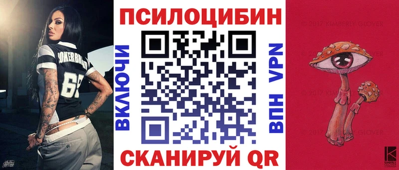 где можно купить наркотик  Кимовск  Галлюциногенные грибы Psilocybine cubensis 