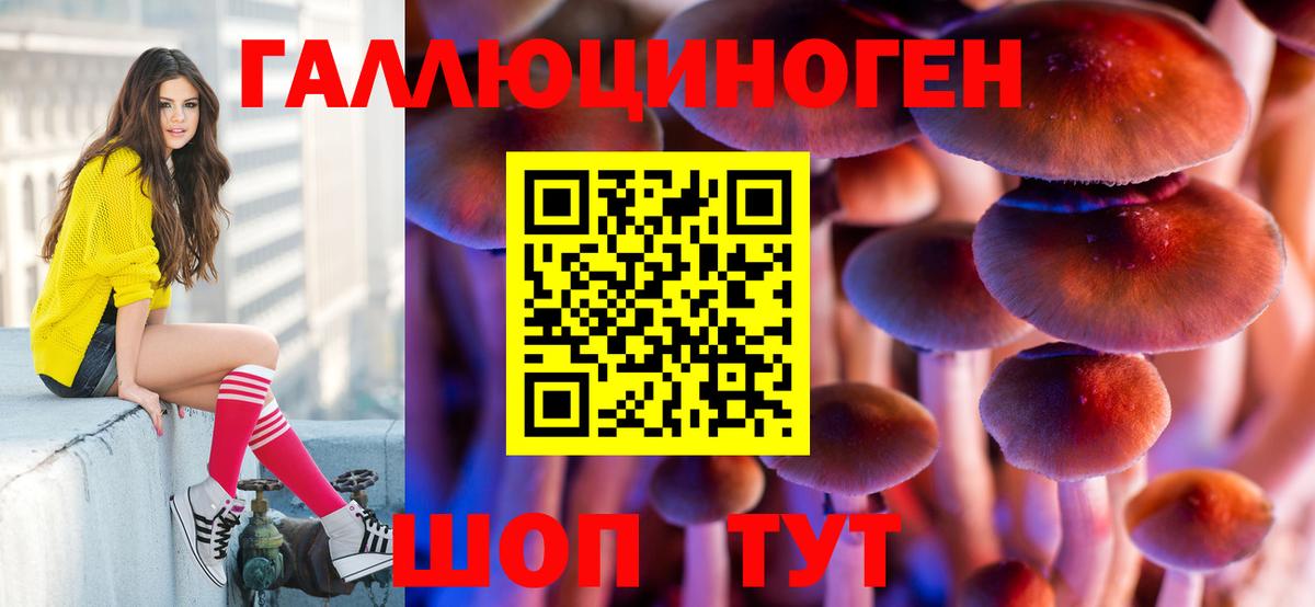 Кимовск  Галлюциногенные грибы мухоморы  Вход с VPN 